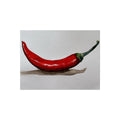 Red Pepper Temporary Tattoo